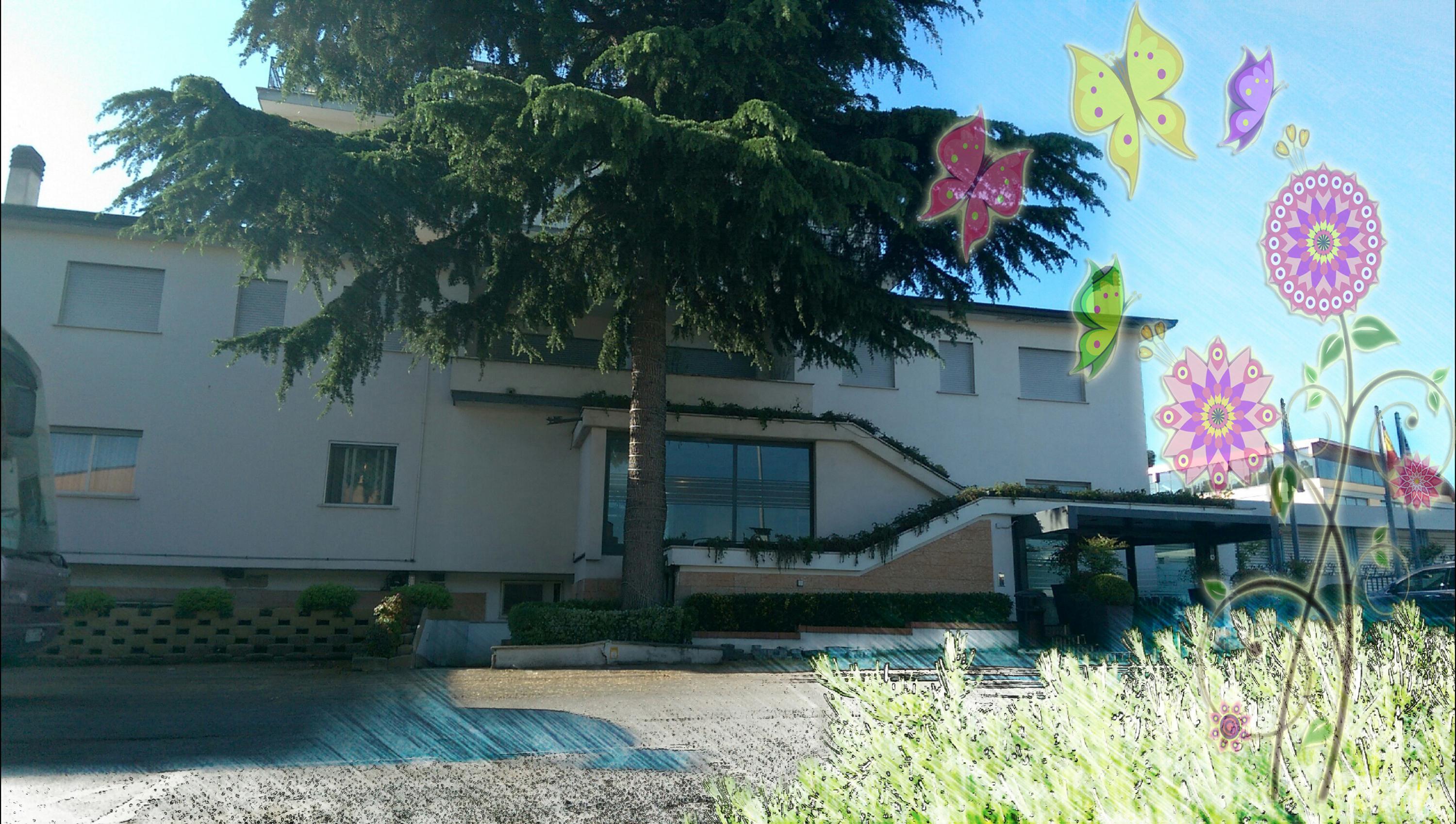 Hotel Meeting Ciampino Zewnętrze zdjęcie